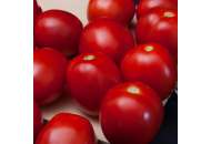 Баста F1 - томат детермінантний 1 000 насінь, Clause Франція фото, цiна
